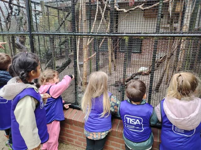 Students observing animals during a class trip to the zoo